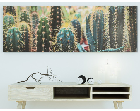 Obraz na plátne Kaktusy  150x50 cm 