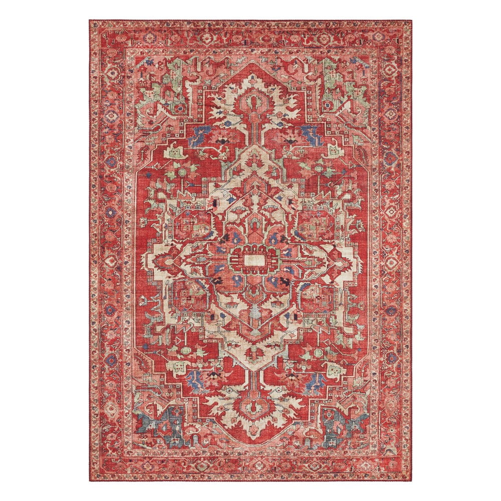 Červený koberec Nouristan Leta 200 x 290 cm