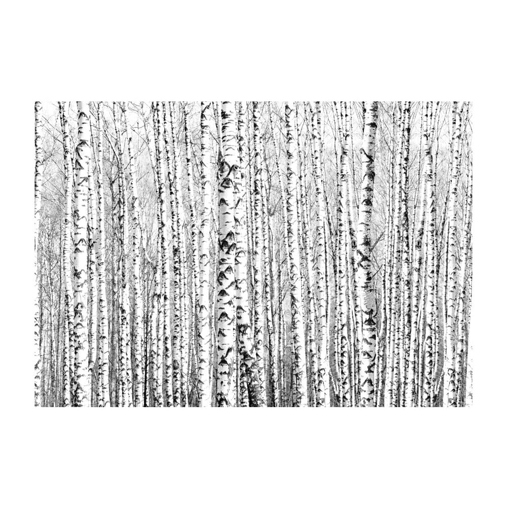 Veľkoformátová tapeta Artgeist Birch Forest 200 x 140 cm