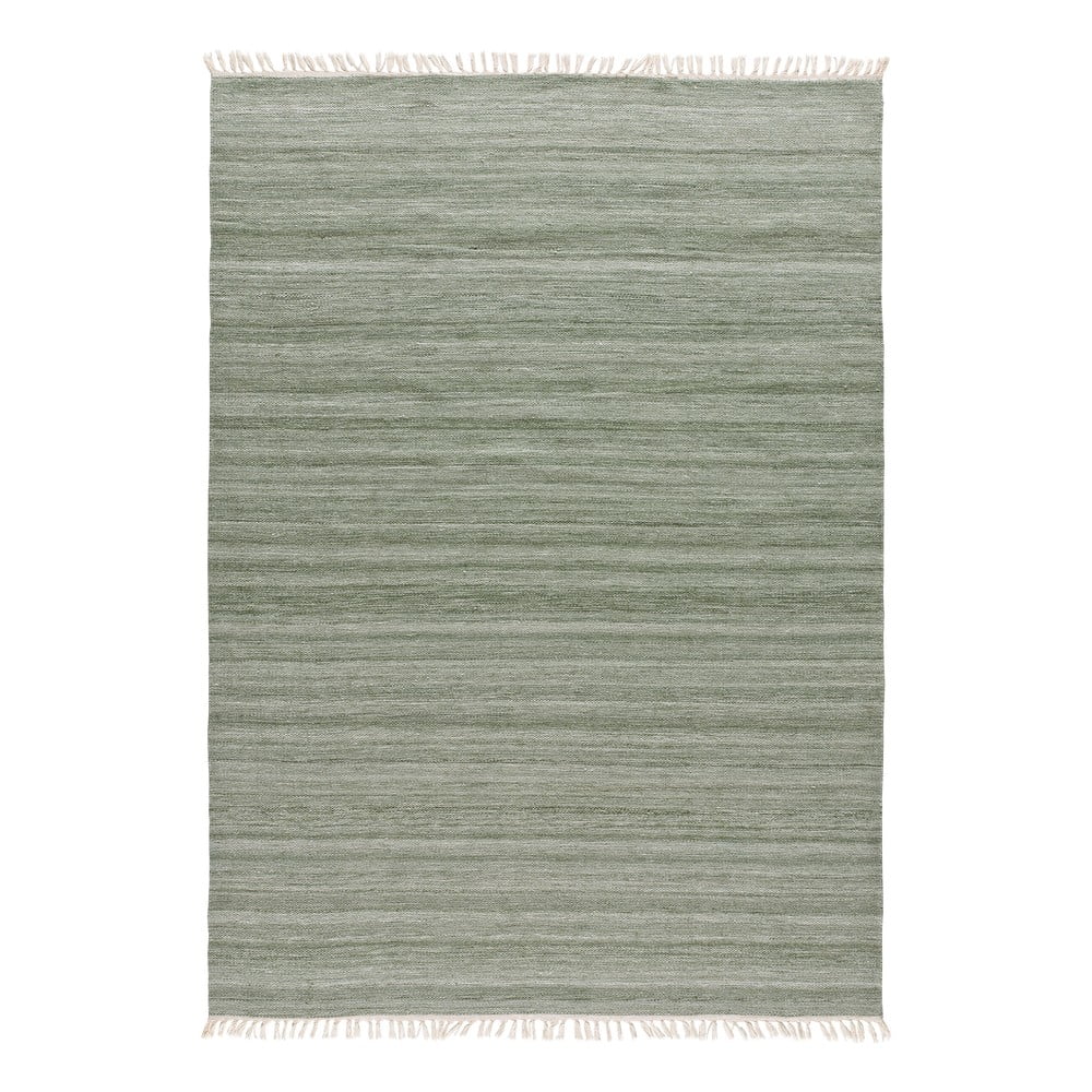 Zelený vonkajší koberec z recyklovaného plastu Universal Liso 80 x 150 cm