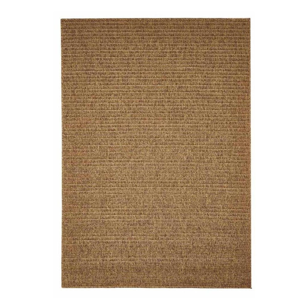 Hnedý vonkajší koberec Floorita Plain 200 × 285 cm