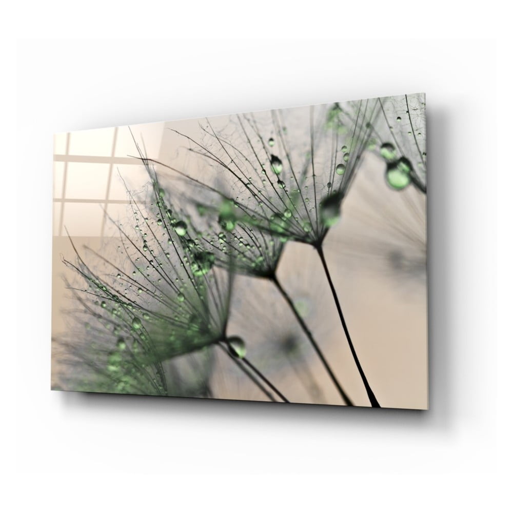 Sklenený obraz Insigne Green Dandelion 72 x 46 cm