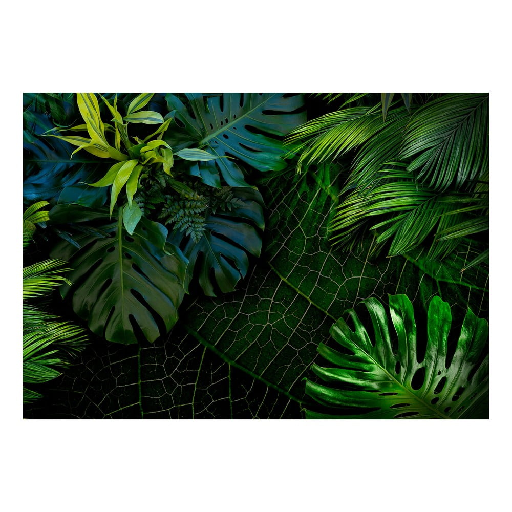Veľkoformátová tapeta Artgeist Dark Jungle 400 x 280 cm