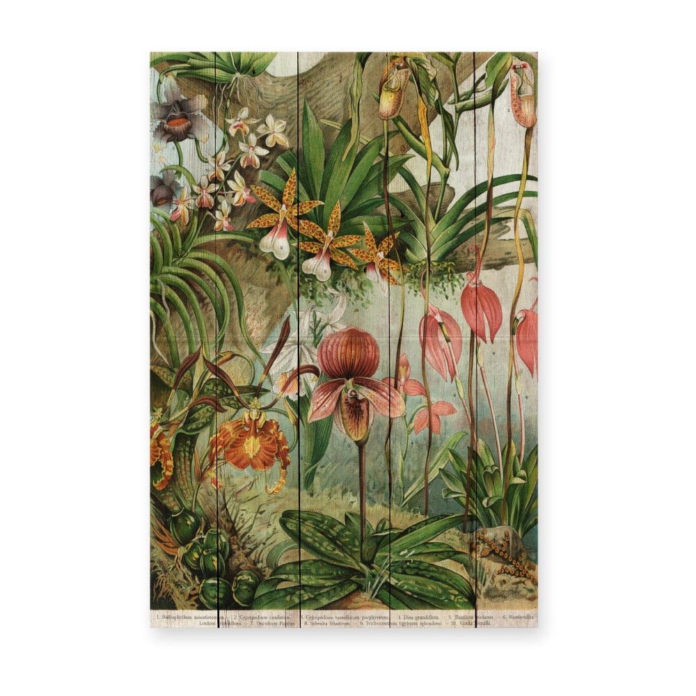 Nástenná dekorácia z borovicového dreva Madre Selva Jungle Flowers 60 × 40 cm