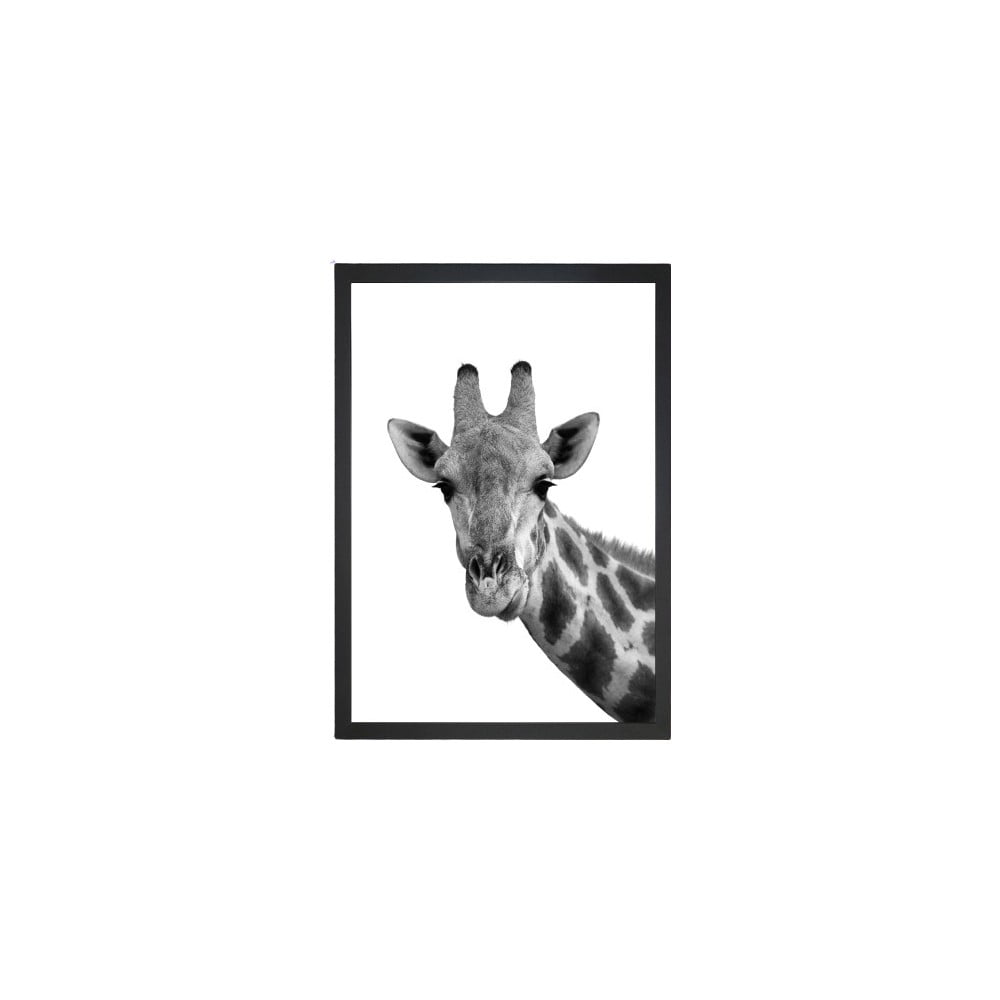 Obraz Tablo Center Giraffe Portrait 24 × 29 cm