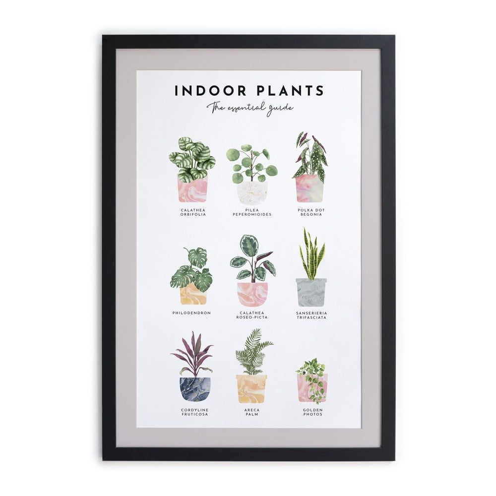 Nástenný obraz v ráme Really Nice Things Indoor Plants 30 x 40 cm