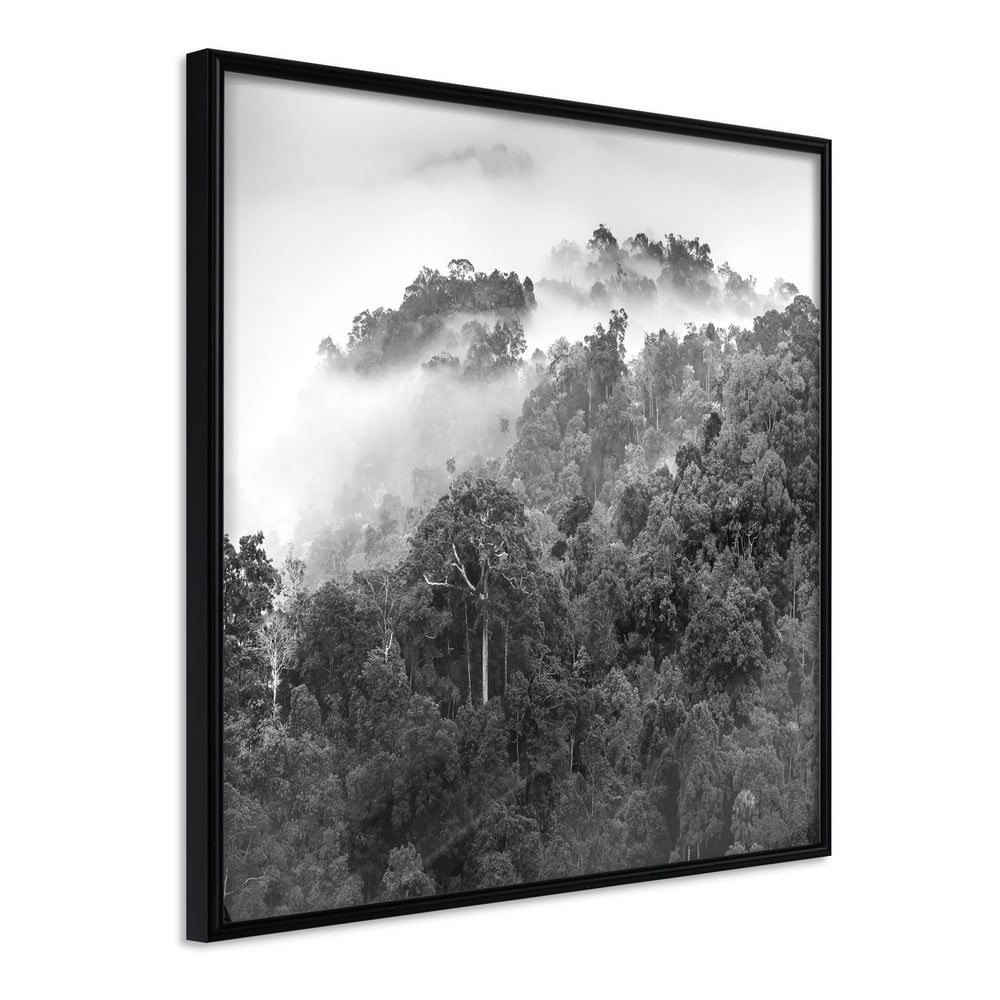 Plagát v ráme Artgeist Foggy Forest 20 x 20 cm